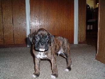 Andreas first day in new home