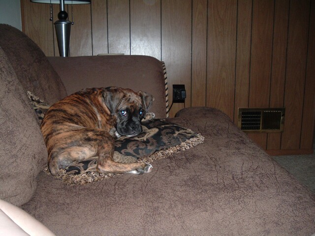 Andreas in his favorite spot