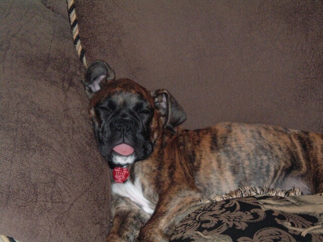 Andreas sound asleep