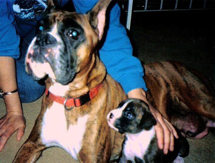 Angel & Nutmeg