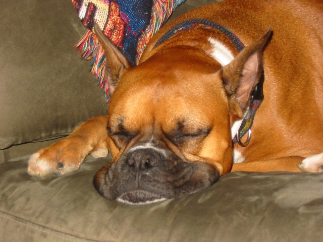 Angel sleeping