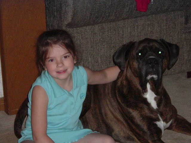Angus