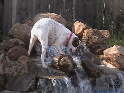 Annabelle Waterfall
