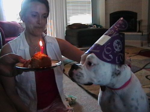 Annabelles 1st Bday