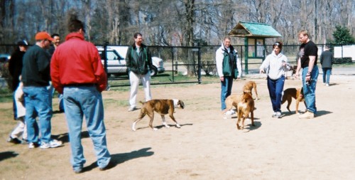 Annapolis Boxer Bash