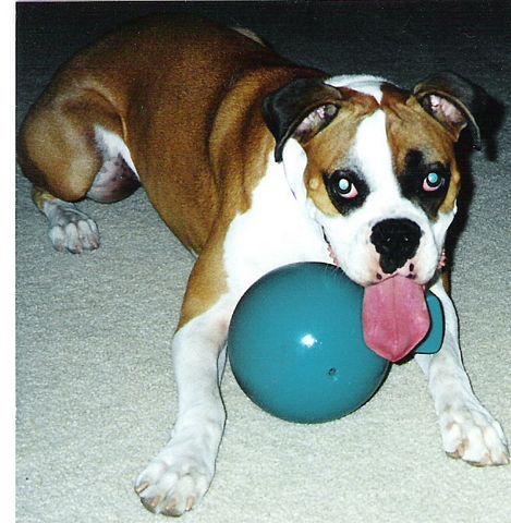 Annie 10-26-00  to 11-5-02