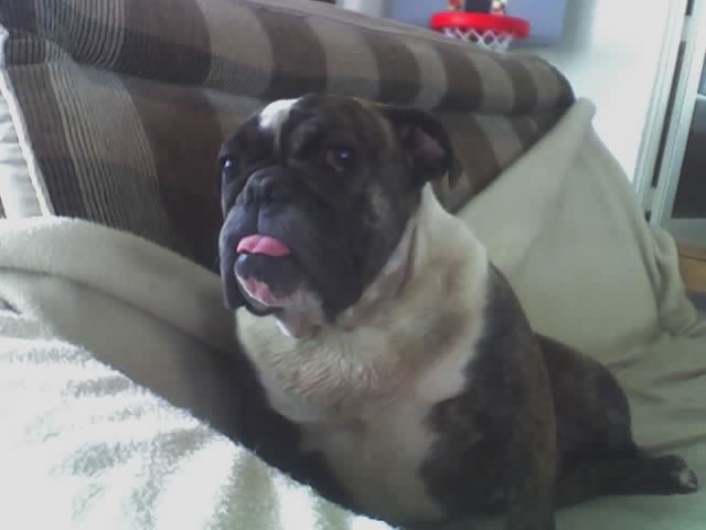 Annie 2