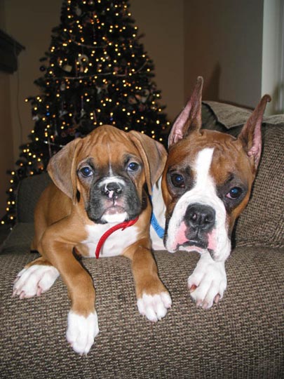 Annie & AJ -- Christmas 2003