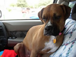 Annie heading to her new home!