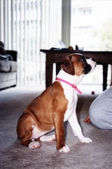 Annie plays with Dad