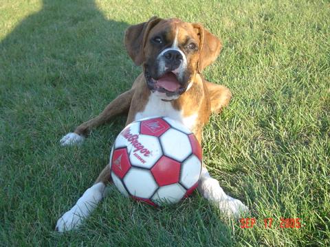 Annie