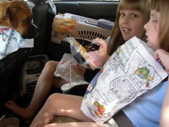 Annie's HUNGRY!!!