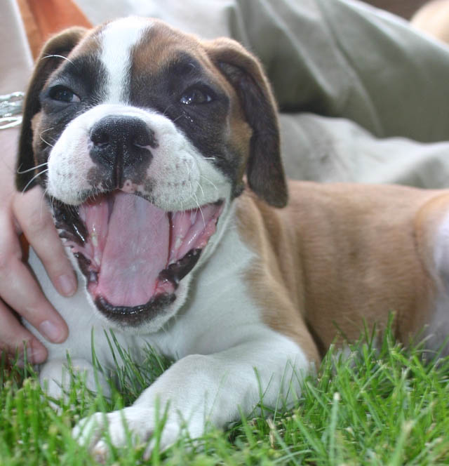 another big smile