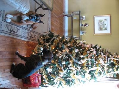 another christmas pic