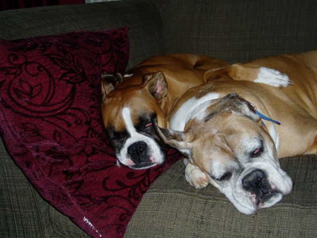 Another Diamond and Maxine