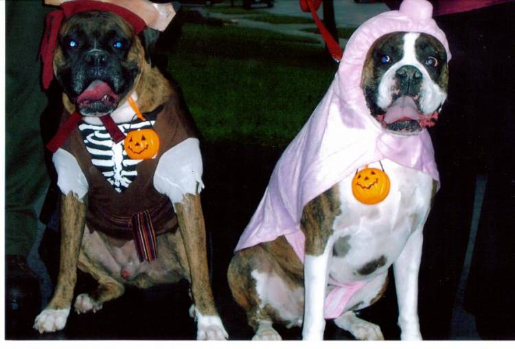 Another Halloween photo