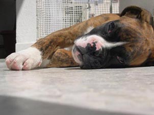 another lazy day