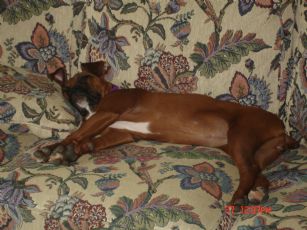Another new napping place
