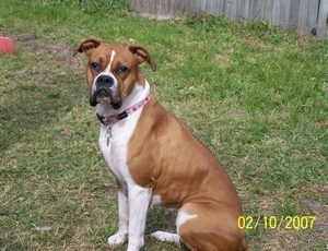 Another of Cassie