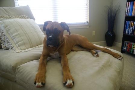 another of jazmine at 7 months