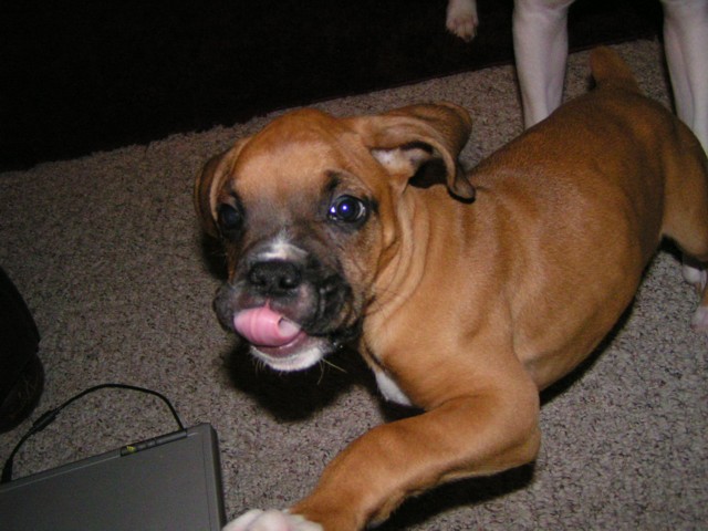 Another one for his new mommy