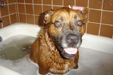 Another one in the tub