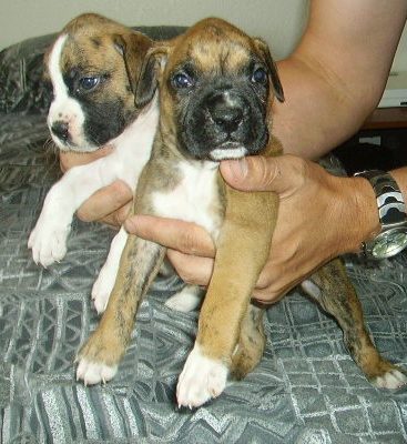 Another pic of Cairo and his sis