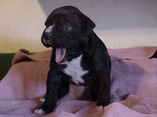 another pic of my little girl