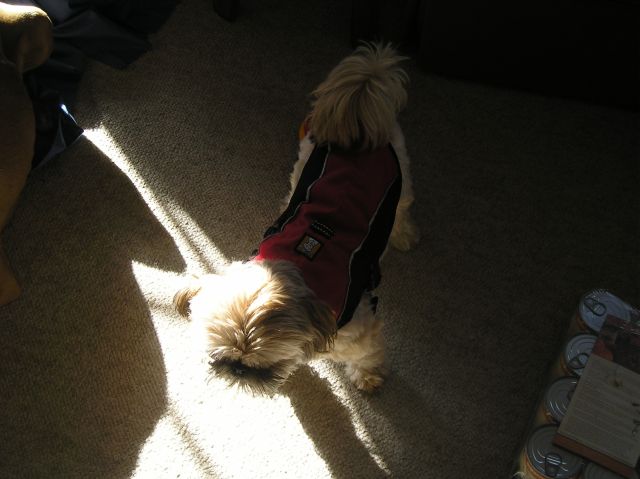 another pic of nylas new coat