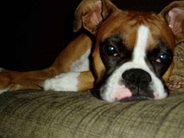 Another Picture Ma?