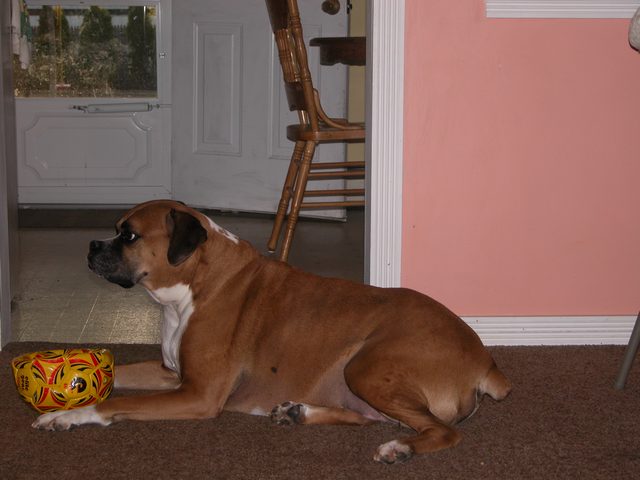 Another picture Mom?