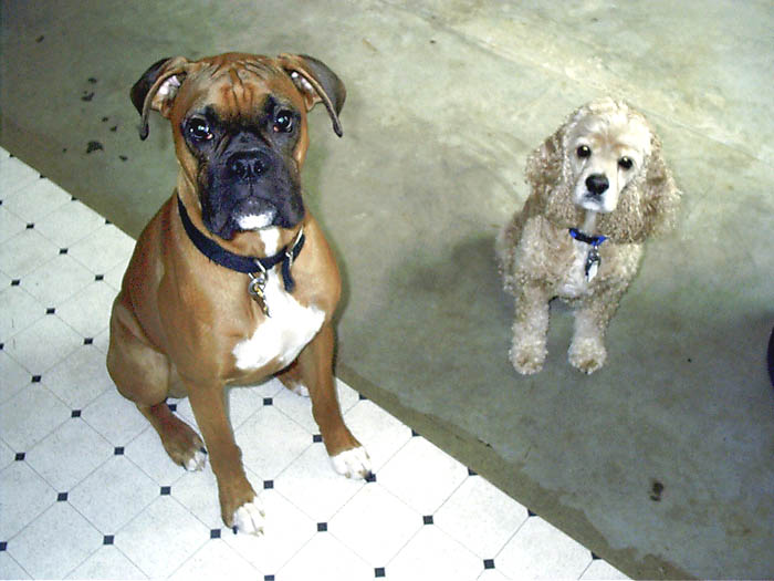 Another rare moment.