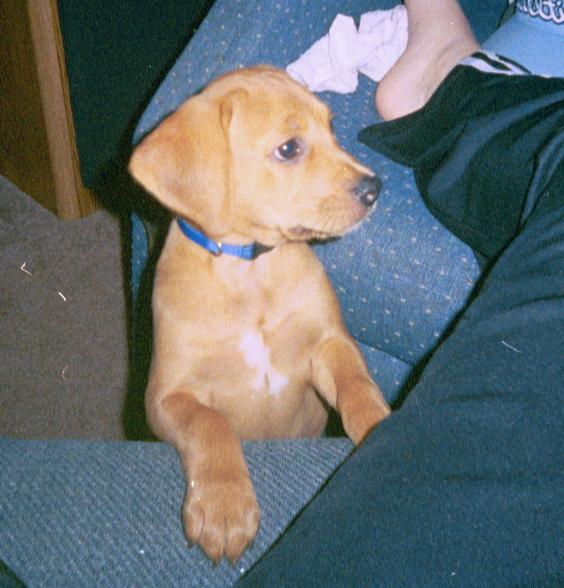 Another Shot of Rosie