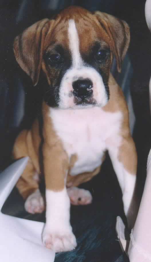 Another shot on the first day home.