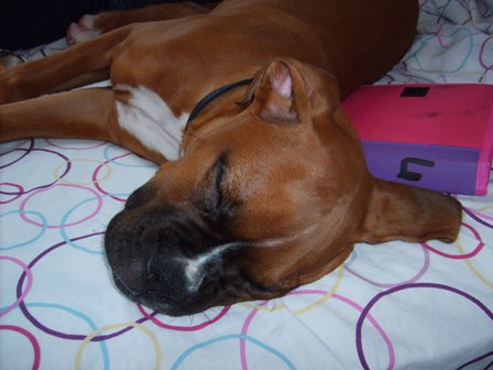 Another sleeping beauty pic