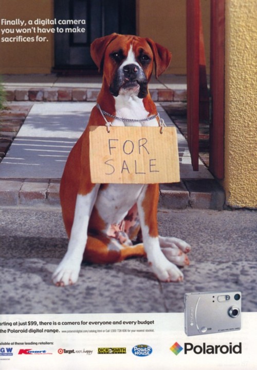 AnotherCoolAd