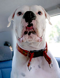 Anxious Avra...where is my dad?