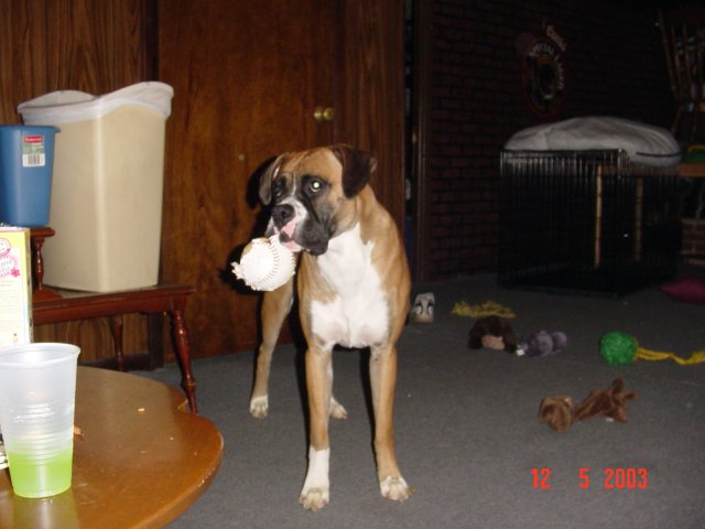 Anyone want to play ball