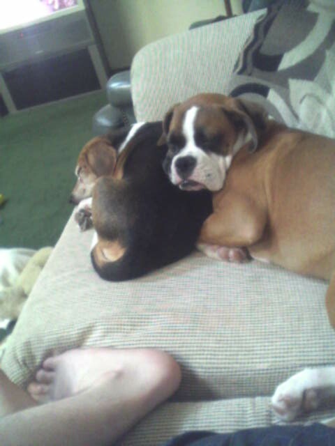 Anything works as a pillow!