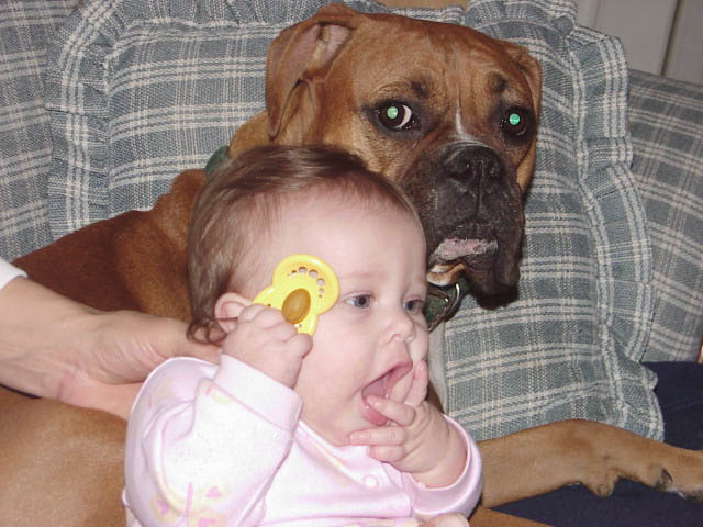 Apollo and his sister!