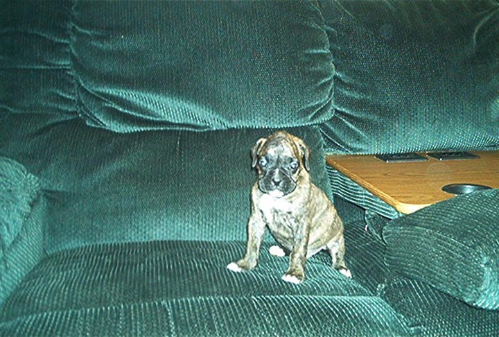 Apollo_1st_day_home_pic2