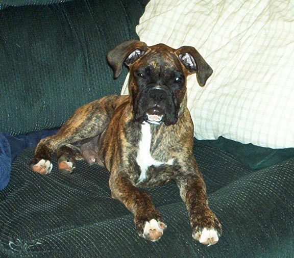 apollo_4mnths_so_tired