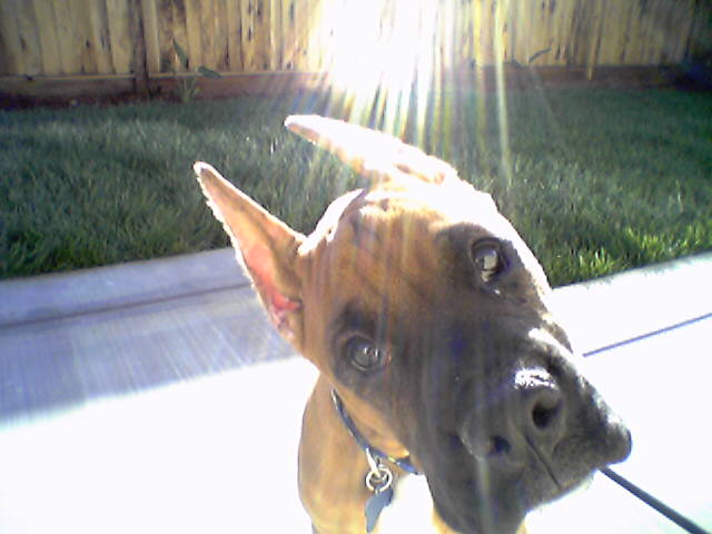 apollohuh