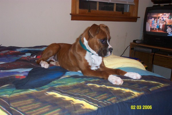 Apparently, this is her bed now.