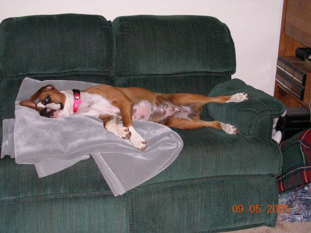 Apparently, this is her couch