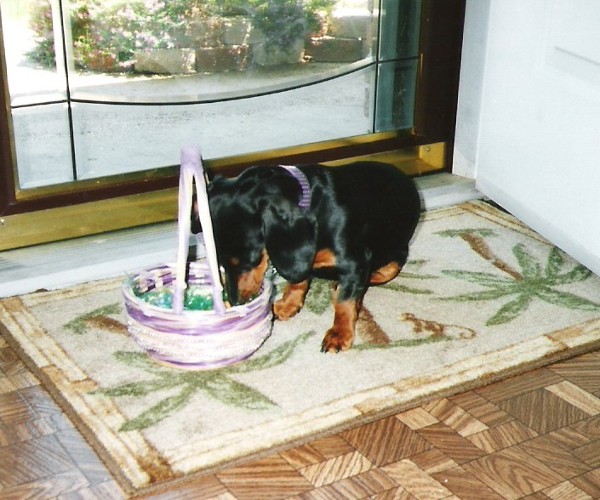 Are those BOILED EGGS in there???!!!  YUMMY!!!