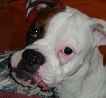 Are U Gunna Play Wif Me?