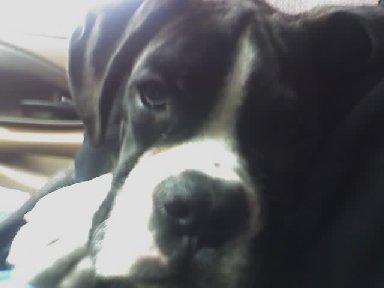 Are we home yet???????