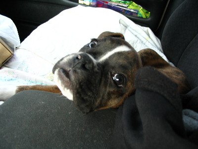 Are we there yet mom?