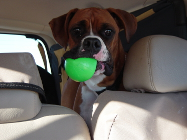 Are we there yet?